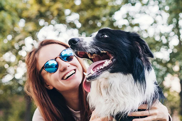 Ocoee Animal Hospital